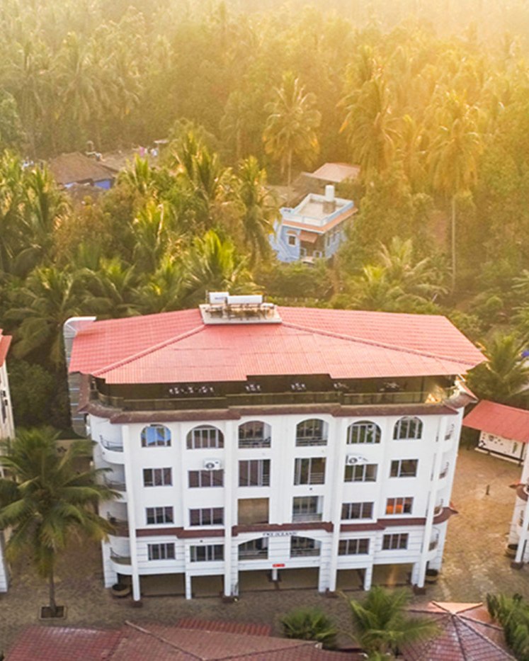 Suite block at sunrise, framed by the coconut grove